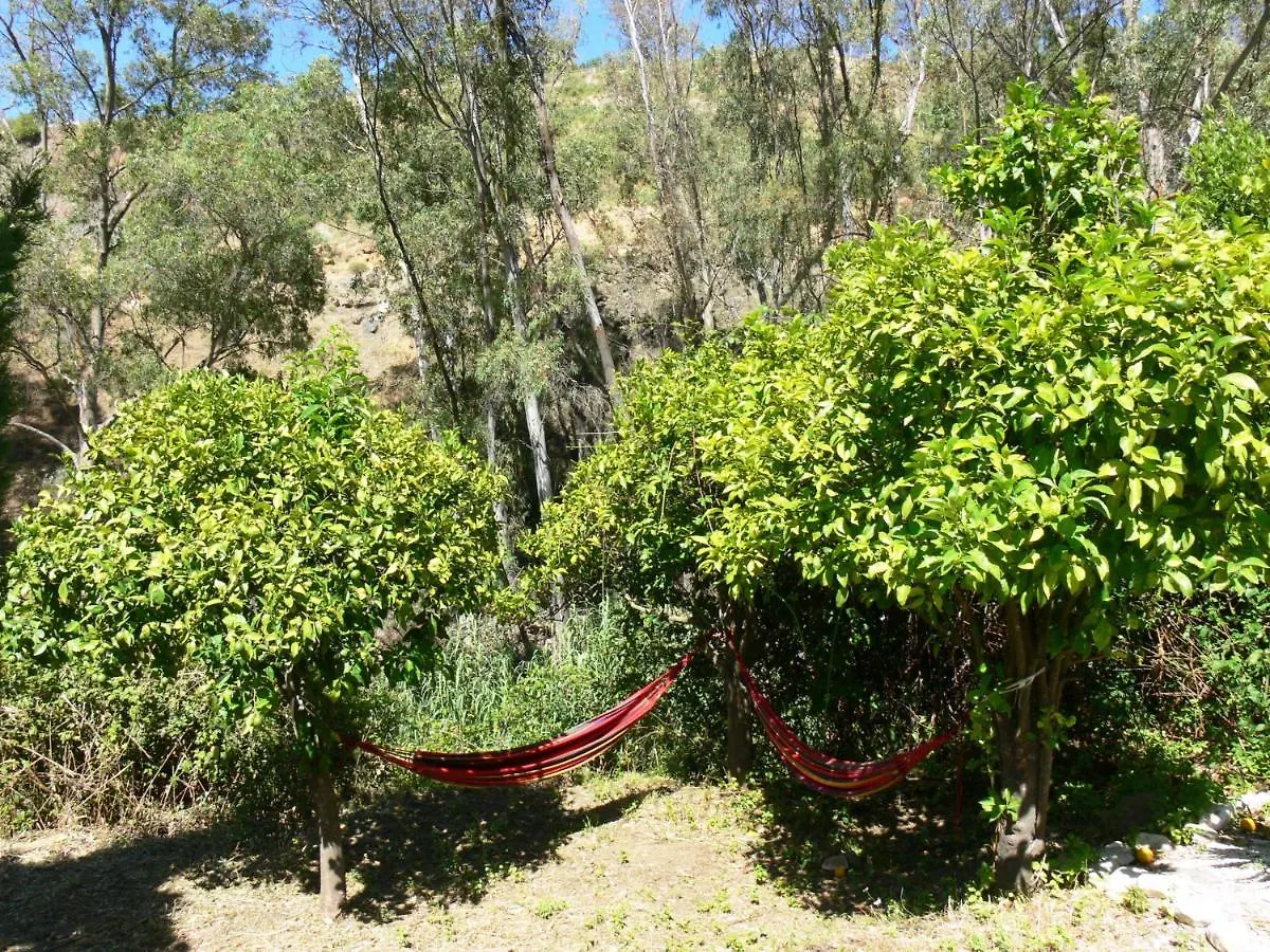 Vegan Guesthouse Finca Pereila Coín 0*,  Španělsko