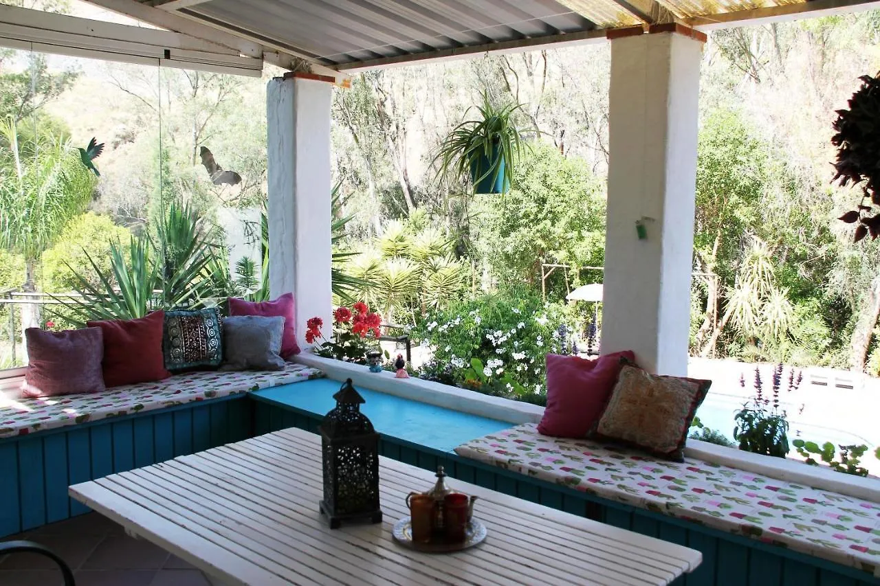 Bed & Breakfast Vegan Guesthouse Finca Pereila Coín Španělsko